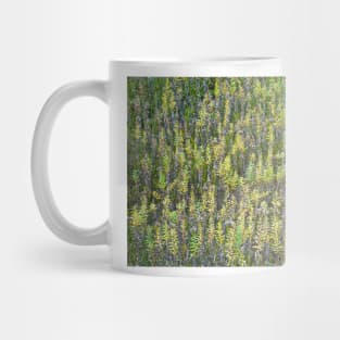 Waverly Study 02 Mug